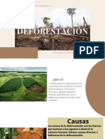 DEFORESTACION