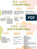 Nif B-3 (Mapa Conceptual)