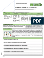 (PDF) 1° SEC. EDA 1 SEMANA 2 CYT 2023 La Célula Unidad Fundamental de Todos Los Seres Vivos