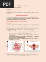 Trabajo de Investigación 2 de Morfo