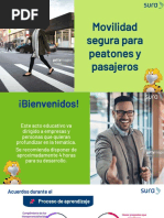 Movilidad Segura para Peatones y Pasajeros PDF