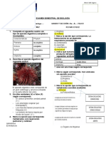 4to Bimestre IV Examen FILA BXD