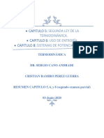 Resumen Capitulo 5,6,8 PDF