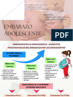 Seminario 3 - Embarazo Adolescente