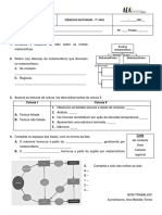 Ficha Trab - Rochas Metamórficas