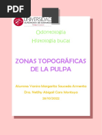 Zonas Topográficas de La Pulpa PDF