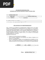 Responsible Declaration Template PDF