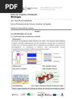 Correção-F.TRABALHO 1-A2-10ºJ - Biologia-22-23