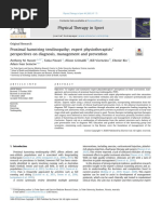 Proximal Hamstring Tendinopathy Expert Physiotherapists' Perspectives On Diagnosis, Management and Prevention