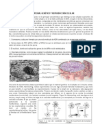 Guía 1 Adn Xenopus