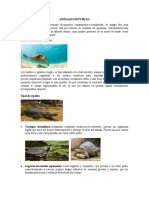 Animales Reptibles