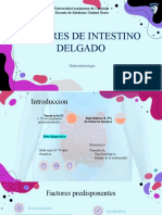 Tumores de Intestino Delgado