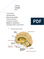 Funciones Cerebrales y Pares Craneales