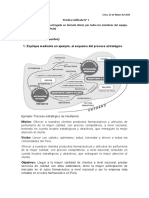 Practica Calificada Proceso Estratégico