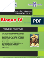 Bloque Iv Çpsicología