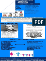 Zayda Peña San Juan-Infografia-Grupo B-Lic - Psicologia...