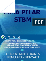 5 Pilar STBM