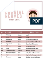 Cranial Nerves 