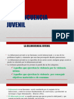 La Delincuencia Juvenil Completo