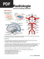 TDM Cérébral PDF