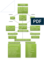 Mapa Conceptual Del Medio Ambiente 2