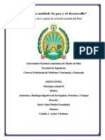 Anatomia Digestiva 2 PDF