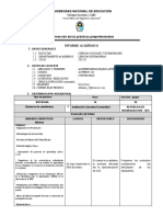 Esquema Del Informe Academico-2022-Ii Ok