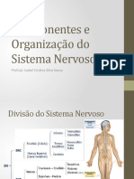 Aula 1-Componentes e Organização Do Sistema Nervoso