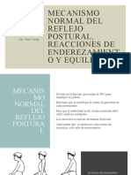 Mecanismo Normal Del Reflejo Postural, Reacciones de