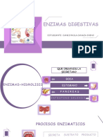 Enzimas Digestivas