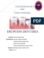 Erupcion Dentaria