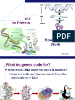 16 - From-Gene-To-Protein-569f1f4a4ac56