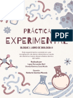 Actividad Experimental.