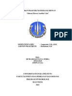 Muhammad Panca Indra - 2032111025 - Bio A - Praktikum Fisiologi Hewan - Sistem Eksresi Dan Analisis Urin