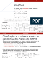 Sistema Homogéneo (Matrizes)