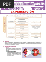 La Percepción para Quinto Grado de Secundaria