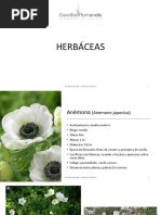 CR Herbaceas