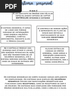 Resumo Sistema Sensorial