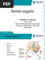 Sense Organs PDF