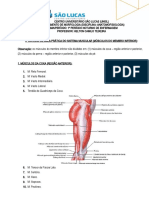 3º Roteiro de Aula Pratica Sistema Muscular - Musculos Do Membro Inferior - 2019.2