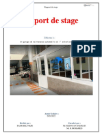 Badr Rapport Rafik Auto 4 PDF