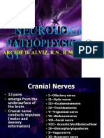 Neuro Handout