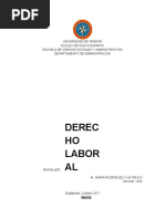 Trabajo de Derecho Laboral