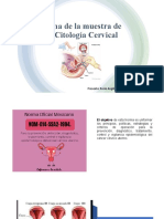 Muestra de Citologia Cervical