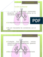 Vasoconstriccion Por Hipoxia