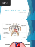 S4-1 Sistema Cardiovascular