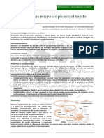 Neurohistología PDF