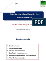 Estrutura e Classificação Dos Cromossomos: Prof.: Ana Carolina Proença Da Fonseca