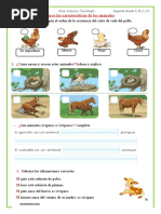 Ficha 22conocemos Las Caracteristicas de Los Animales