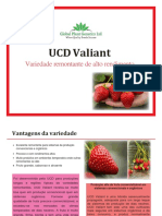 Valiant Brochure Traduzido